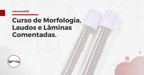 Banner Curso de Morfologia, Laudos e Lâminas