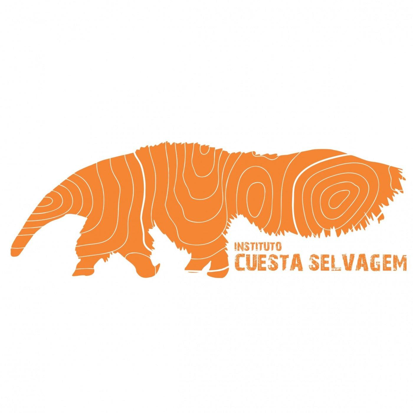 Logo Instituto Cuesta Selvagem